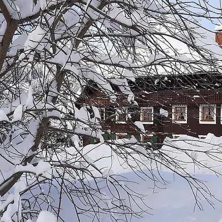 Bachrainhof 1 Apartment Menzenschwand