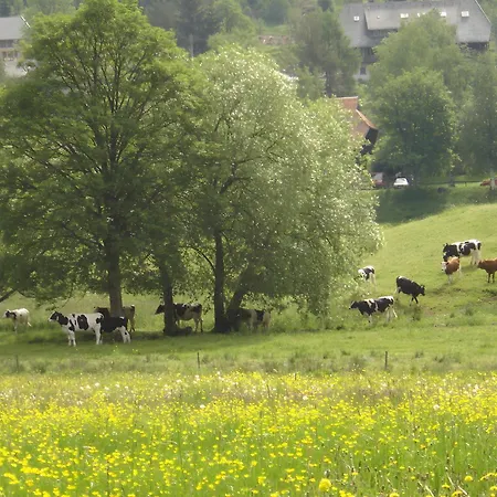 Bachrainhof 1 * Menzenschwand